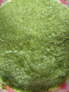 A picture of Frozen green sofrito cubes.