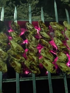 عکسی از دستور جوجه کباب و بال کبابی