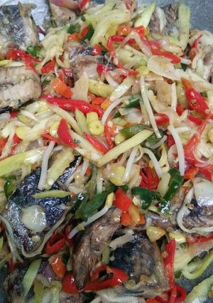 Foto resep Tongkol tumis pencit