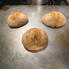 A picture of Biscuits.