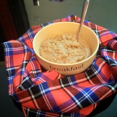 A picture of Oats. #authormarathon.