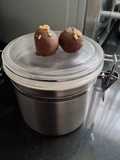 Bombons de tâmaras