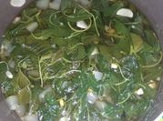 Gambar sayur bening bligo