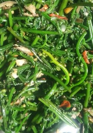 Foto resep Tumis pakis ikan teri