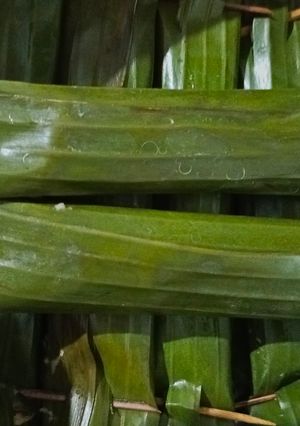 Foto resep Otak-otak Ayam