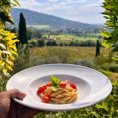 A picture of Tomato Pici Pasta from Scratch.