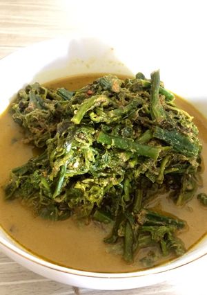Foto resep Gulai Pakis