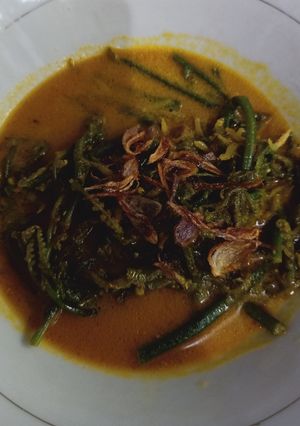 Foto resep Gulai pakis+teri