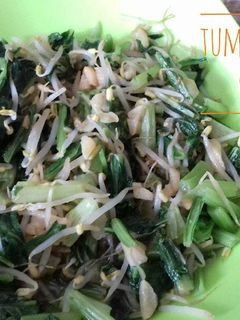 Foto resep Tumis Sawi Hijau dan Tauge