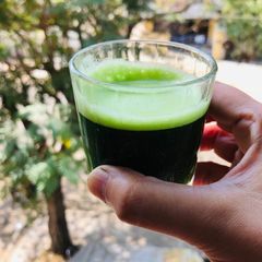 A picture of Wheat grass juice.