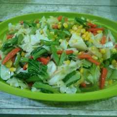 A picture of Tumis pelangi.