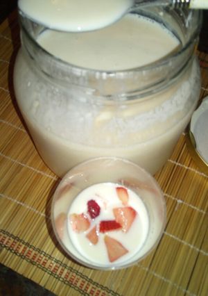 Una foto de Yogur casero (textura cremosa)