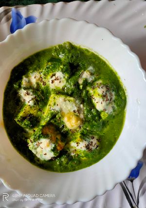 পালক পনির (Palak Paneer recipe in Bengali) রেসিপির প্রধান ছবি