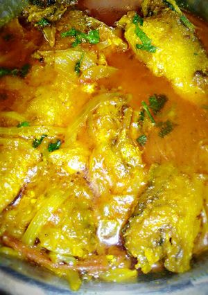 A picture of Bhola fish curry.
