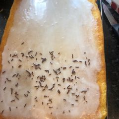 A picture of Tray cake.