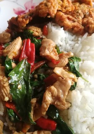 รูปของ กระเพราไก่ (Noกระเทียม)