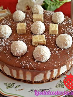 Foto principal de Tarta de natillas de coco con baño de chocolate
