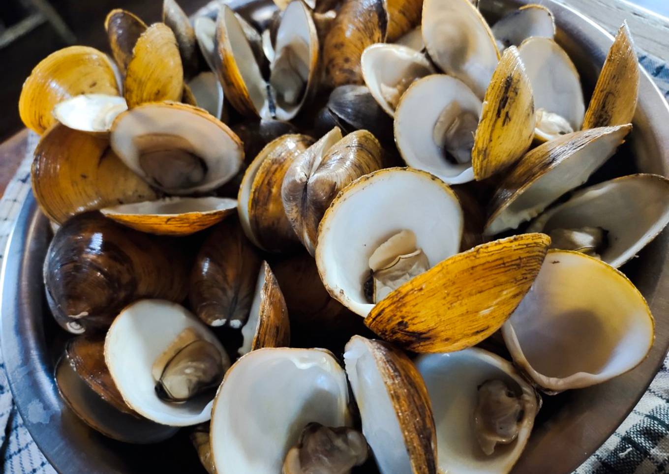 Kerang kappa kukus enak banget banget