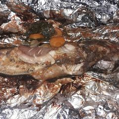 A picture of Fresh fish.