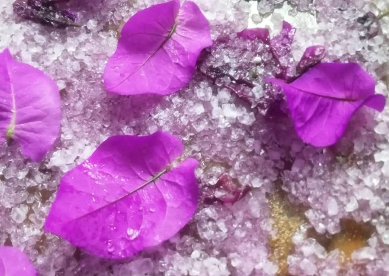 Sirloin con mantequilla de guajillo y sal de mezcal y flores