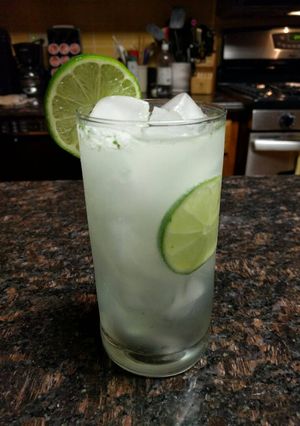 A picture of Mojito.