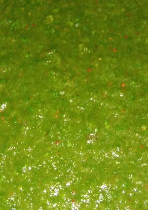 A picture of Green Chutney.