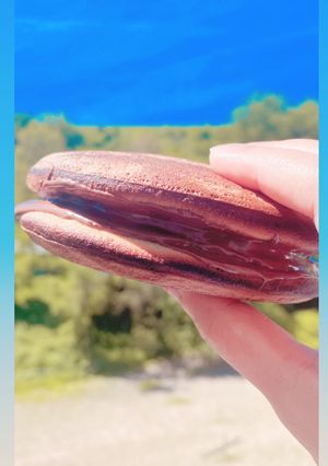 Foto resep Nutella Dorayaki