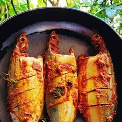 A picture of तळलेला भरलेला बांगडा मासा (Stuffed-Fried Mackerel fish recipe in marathi).