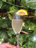 Sorbete de champagne