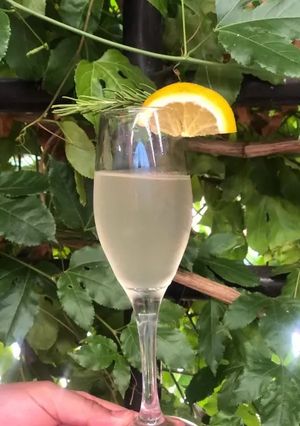 Una foto de Sorbete de champagne