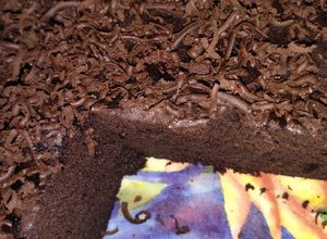 Foto resep Brownies haan