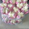 Bolu kukus ngakak