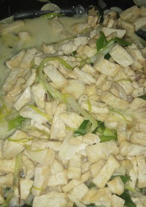 Foto resep Tahu Tumis Santan