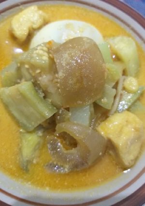 Foto resep Lodeh terong campur2