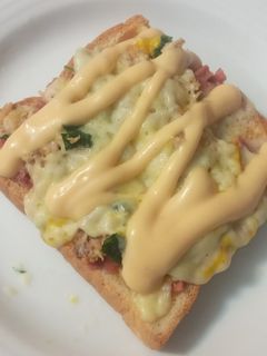 عکسی از دستور ساندویچ مرغ پنیری در سولاردام