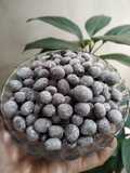 Boba cokelat (tapioca pearl rasa cokelat)