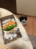Maki DIY group