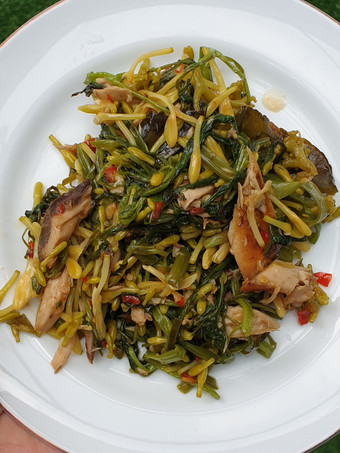 Cara Gampang Menyiapkan Tumis bunga pepaya kangkung tongkol, Bisa Manjain Lidah