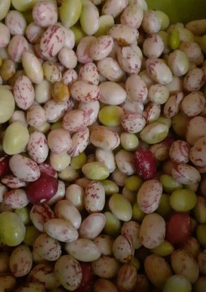 صورة لوصفة لوبيا