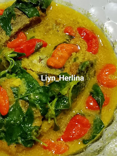 Foto resep Pindang tongkol gulai kemangi
