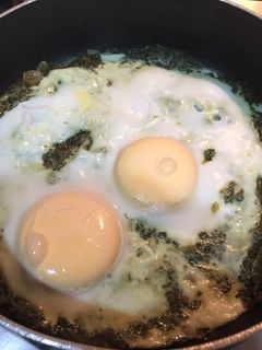 عکسی از دستور املت اسفناج