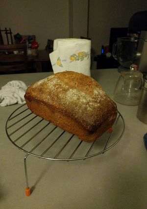 A picture of Super retarded wholemeal sourdough.