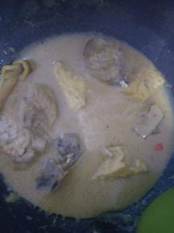 Cara Memasak Opor Ayam Istimewa