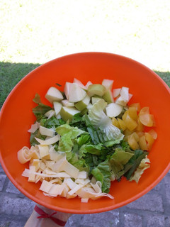 Una foto de Ensalada agridulce