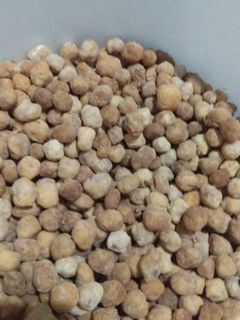 Foto resep Kacang telor manis