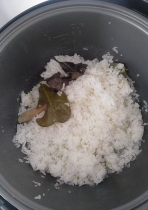 Foto resep Nasi Uduk Rice Cooker