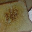 Roasted bread slices