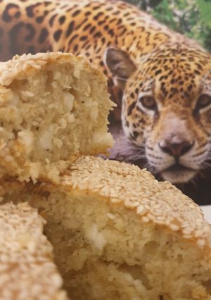 A picture of Hellim Cake.