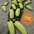 Cookies Ulat 🐛
