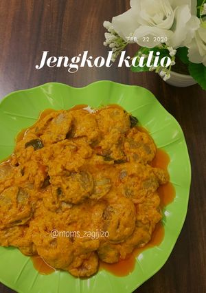 Foto resep Jengkol Kalio